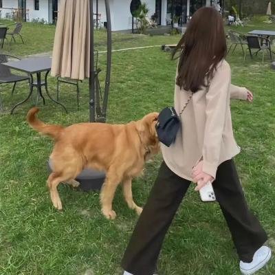 我,何爷爷